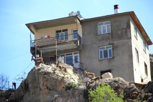 Evlerin yakınında ilk kez görenler heykel sandı