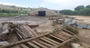 Elazığ’da sağanak yağış dolayısıyla 105 hayvan telef oldu