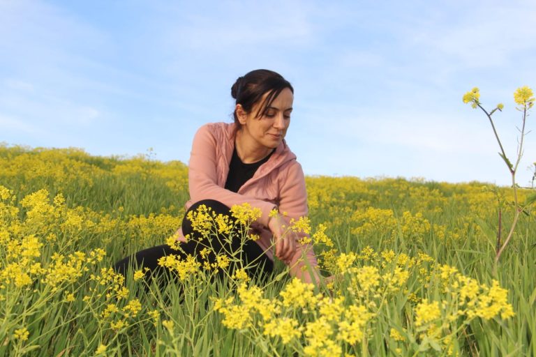 Hardal çiçekleri Tunceli’yi sarıya boyadı