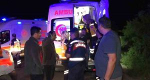 Elazığ’da köpeğe çarpan kamyonet şarampole uçtu: 4 yaralı