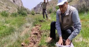 Elazığ’da salep soğanı toplayan 13 kişiye 1 milyon 518 bin lira ceza