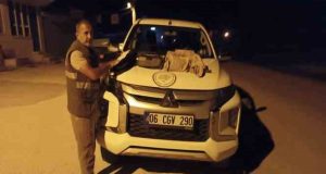 Tunceli’de kaçak avcılık yaptığı belirlenen 2 kişiye işlem uygulandı