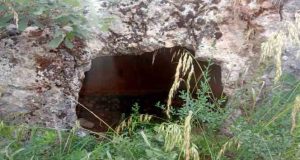 Ağın’da definecilerin talan ettiği kaya mezarları turizme kazandırılmayı bekliyor