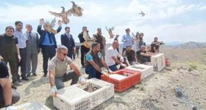 Tunceli’de doğaya 600 keklik salındı