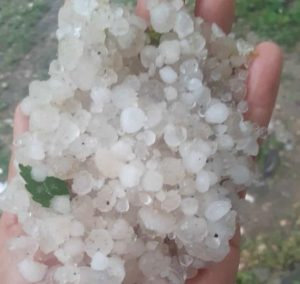 Pertek ilçesinde sağanak ve dolu yağışı etkili oldu