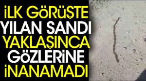 Görüntü Çemişgezek ilçesinden: “İlk görüşte yılan sandı, yaklaşınca gözlerine inanamadı