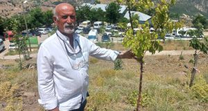 Vatandaşların ziyaret ettiği Düzgün Baba’ya bin 500 ağaç diktirdi