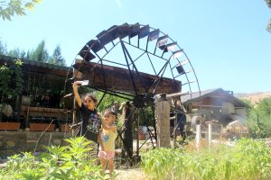 Türünün son örneği su dolabı 80 yıldır dönüyor. Hem arazi suluyor, hemde Tağar vadisine güzellik katıyor