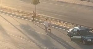 Elazığ’da yayaya çarpan sürücü kaçtı, o anlar kameraya yansıdı