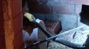 Türkiye’nin en zehirli yılanı olarak biliniyor. Aktuluk Mahallesi’nde tavuk kümesinde görüldü