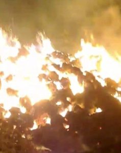 Tunceli’de çıkan yangınında 120 ton saman kül oldu