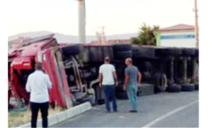 Elazığ’da büyükbaş hayvan taşıyan kamyon devrildi, 11 hayvan telef oldu