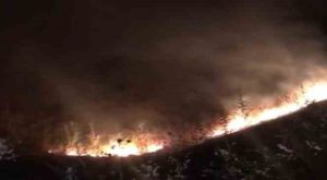 Tunceli’de korkutan yangın