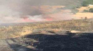 Tunceli’de otluk alanda çıkan yangın, ormanlık alana sıçramadan söndürüldü