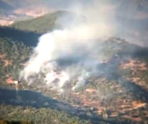 Tunceli’de çıkan orman yangını kontrol altına alındı