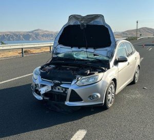 Elazığ’da otomobilin çarptığı kişi yaşamını yitirdi