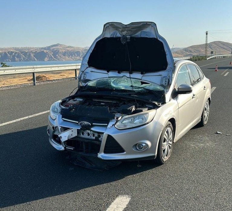 Elazığ’da otomobilin çarptığı kişi yaşamını yitirdi