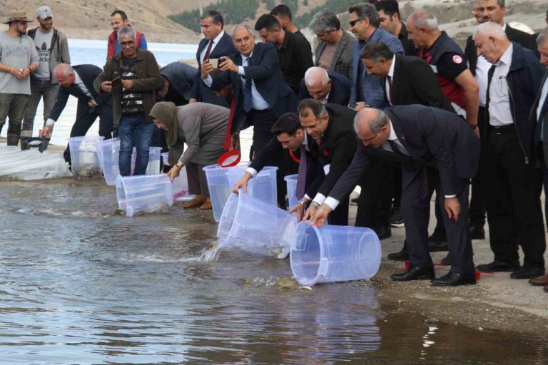 25 milyon yavru sazan suya bırakıldı