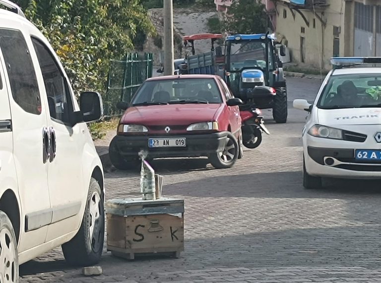 Çemişgezek ilçesinde, Kamyonetin kasasından düşen kovandan çıkan arılar çarşı merkezini istila etti