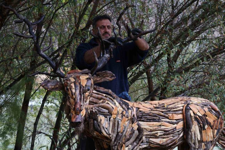 Kurumuş ağaç kökü ve dallarını sanata dönüştürüyor