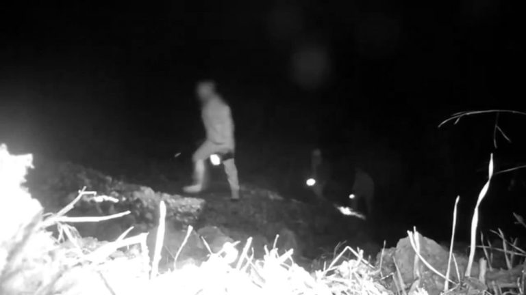 Tunceli’de koruma altındaki yaban keçisi avlayan şahıslar fotokapana yakalandı: 345 bin lira ceza