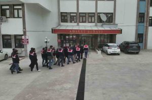 Tunceli merkezli 3 ilde PKK/KCK operasyonu. 14 kişi gözaltına alındı