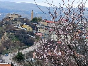 Tunceli’de Mart sonunda beklenirken, badem ağaçları Şubat ayında çiçek açtı. Üretici tedirgin