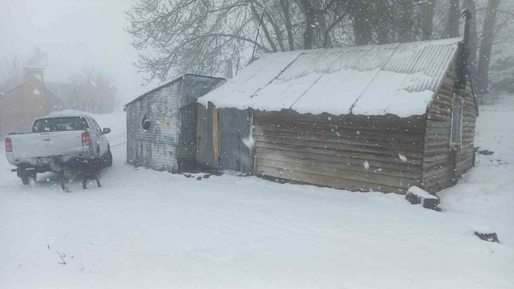 Tunceli’nin yüksek kesimlerinde etkili kar yağışı başladı