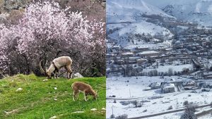 Aynı il, iki mevsim: Çemişgezek bahar bahçe, Ovacık ve Pülümür kar boran