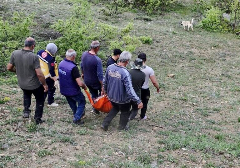 Pülümür ilçesinde ayının saldırısına uğrayan adam yaralandı