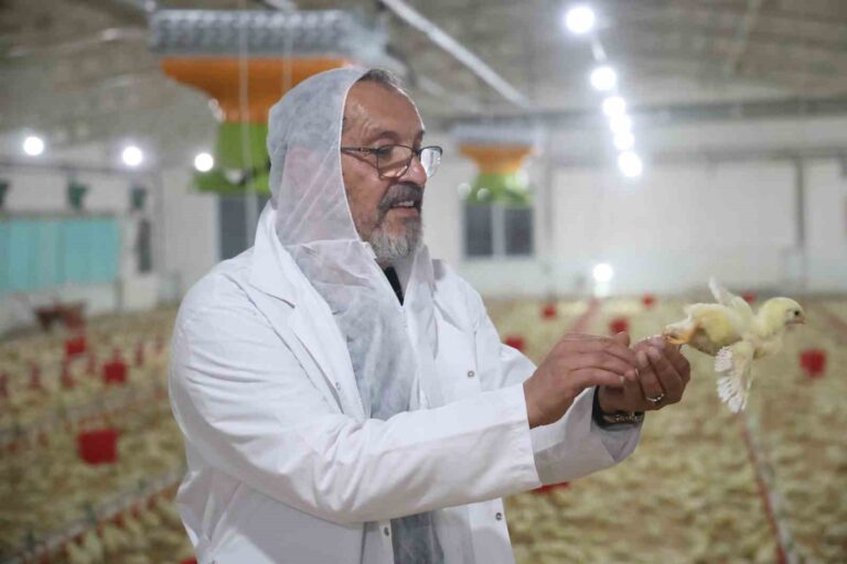 Basın sektörünü bıraktı. Devlet destekli çiftlik kurdu