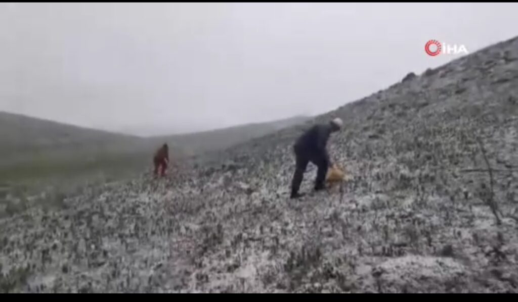Tunceli’de mayısın ortasında kar yağdı