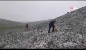 Tunceli’de mayısın ortasında kar yağdı