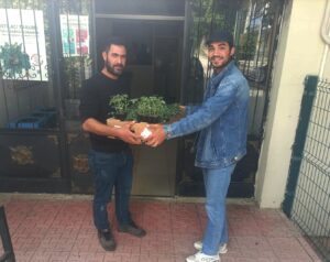 Tunceli’de 228 üreticiye 84 bin domates fidesi dağıtıldı