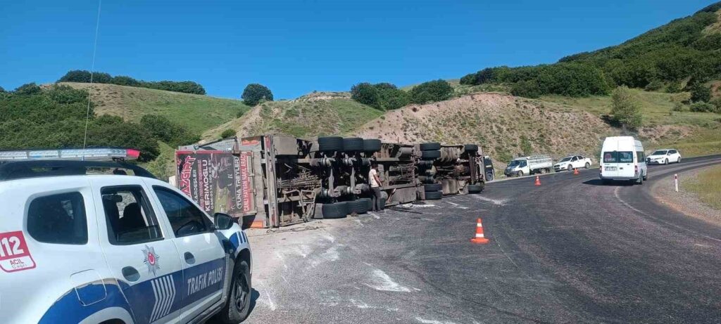 Tunceli’de, hayvan yüklü tır devrildi: 3 kişi yaralandı. Çok sayıda küçükbaş telef oldu