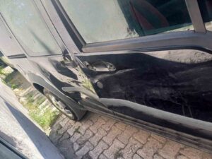 Tunceli’de ayı, seyir halindeki araca saldırdı. Araçta hasar oluştu