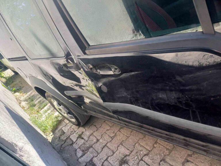 Tunceli’de ayı, seyir halindeki araca saldırdı. Araçta hasar oluştu