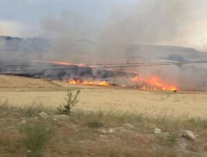 Çemişgezek’te yıldırım ekili alana isabet etti, yüzlerce dönüm buğday kül oldu