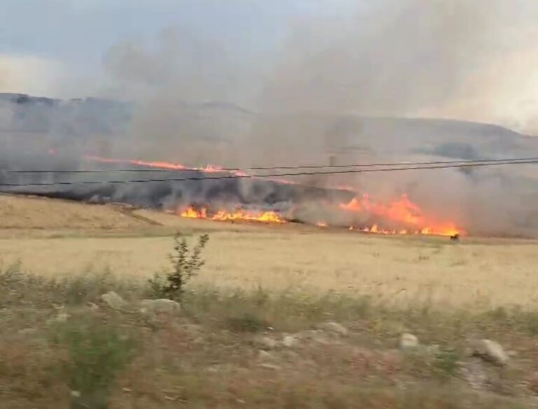 Çemişgezek’te yıldırım ekili alana isabet etti, yüzlerce dönüm buğday kül oldu