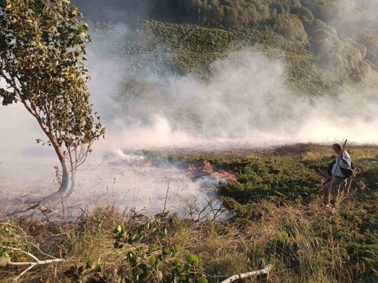 Pülümür’de ağaçlık alanda yangın