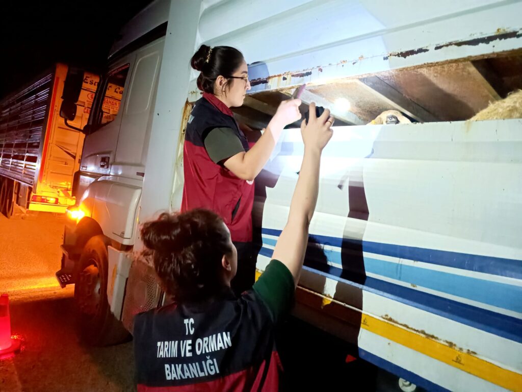Tunceli’de veteriner hekimlerin gece gündüz süren denetimleri devam ediyor
