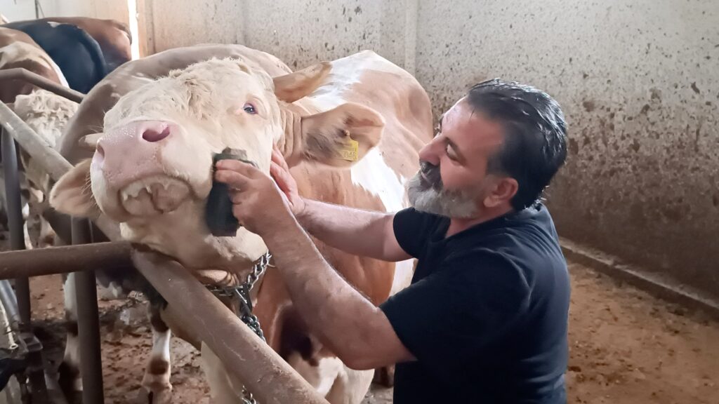 Bu kurbanlığın benzeri çok az