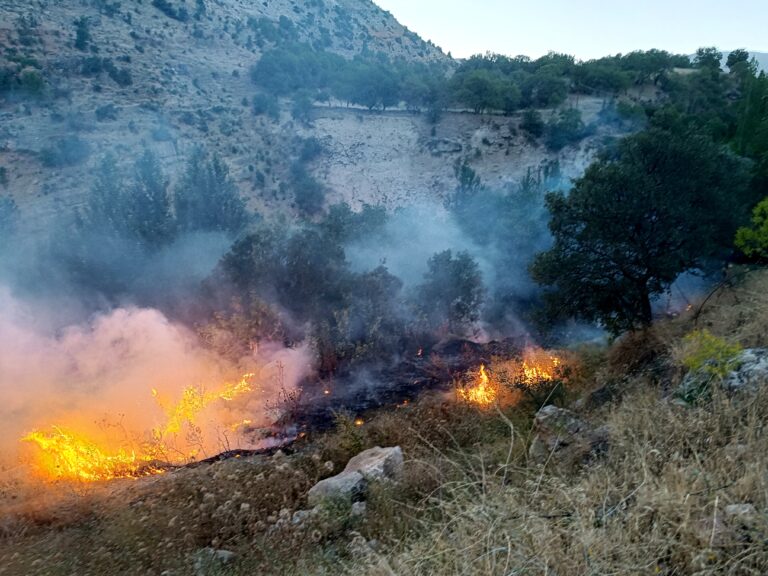 Çemişgezek’te otluk ve ağaçlık alanda yangın çıktı