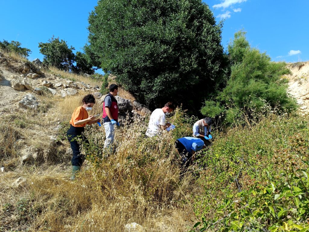 Çemişgezek’te biri uçurumdan atlayınca diğerleri peşinden atladı: 43 koyun telef oldu