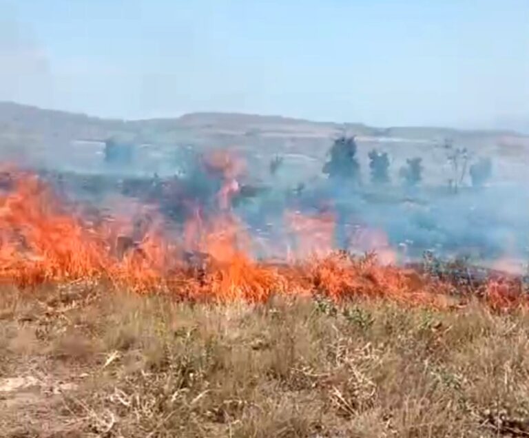 Çemişgezek ilçesinde Saman balyalarının bulunduğu arazide yangın çıktı