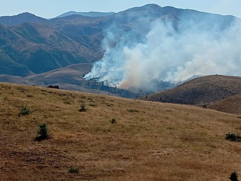 Pülümür ilçesi Balpayam bölgesinde ağaçlık alanda yangın çıktı