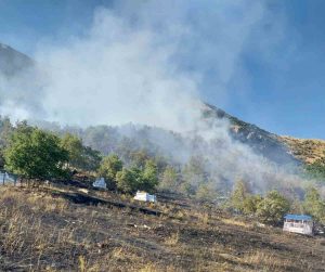 Tunceli’de mezarlıkta başlayan yangın ormana sıçradı