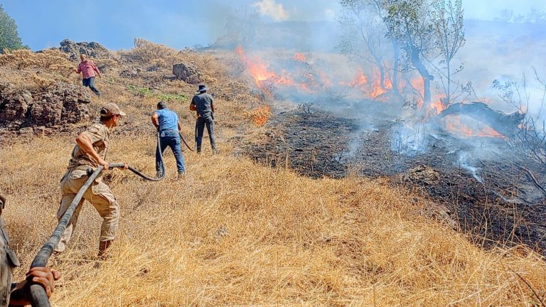 Ovacık ilçesinde çıkan yangında 11 hektarlık alan zarar gördü
