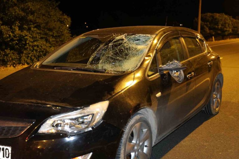 Elazığ’da otomobilin çarptığı kadın kurtarılamadı