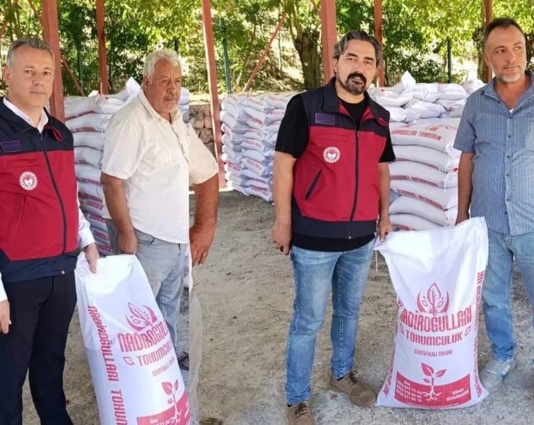 Çemişgezek ilçesinde çiftçilere mercimek tohumu dağıtıldı